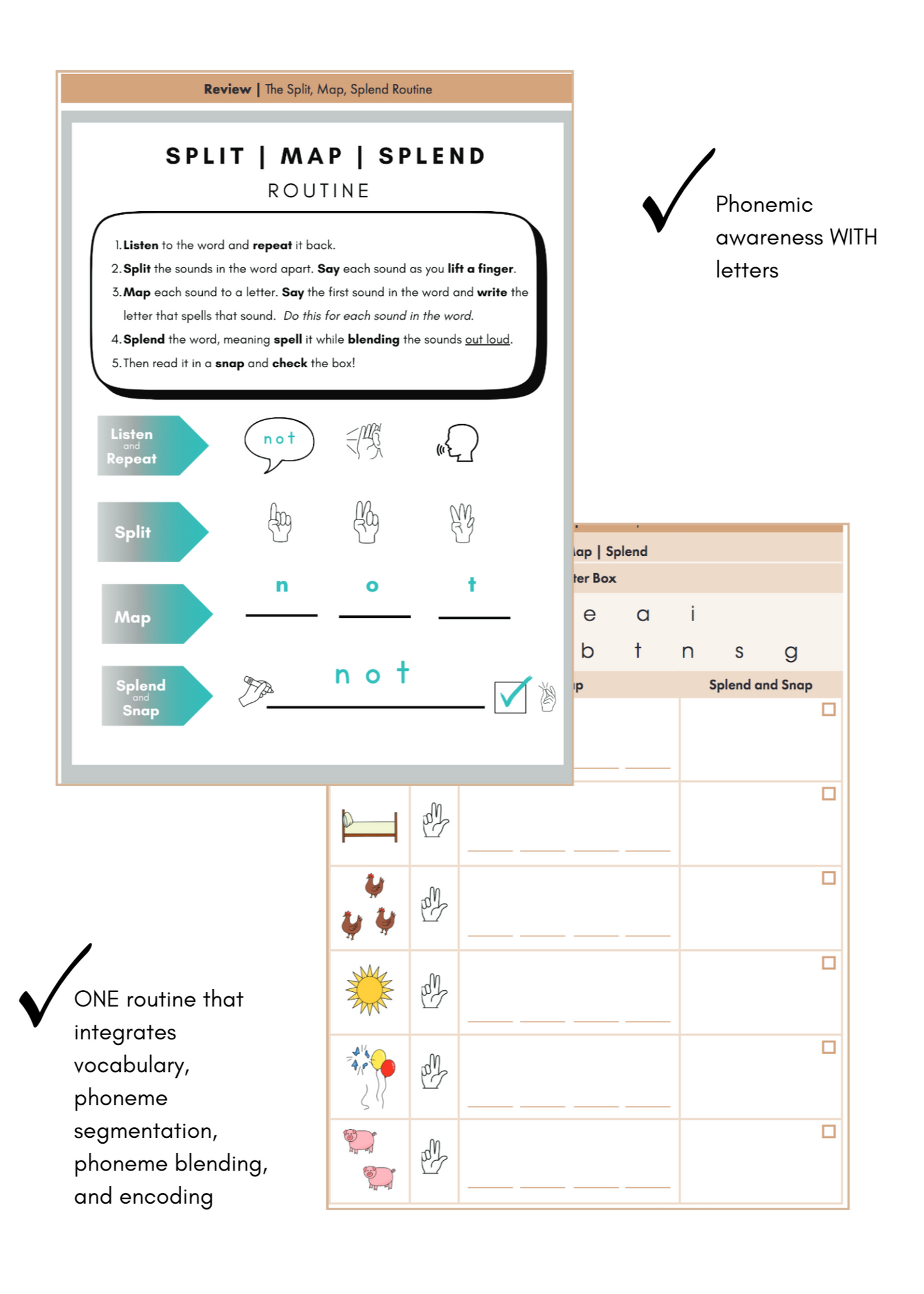 B.Lit Basics | Crack the Code Kit